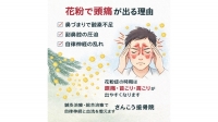 尾張旭市　鍼灸接骨院　【花粉で頭痛が出る理由】